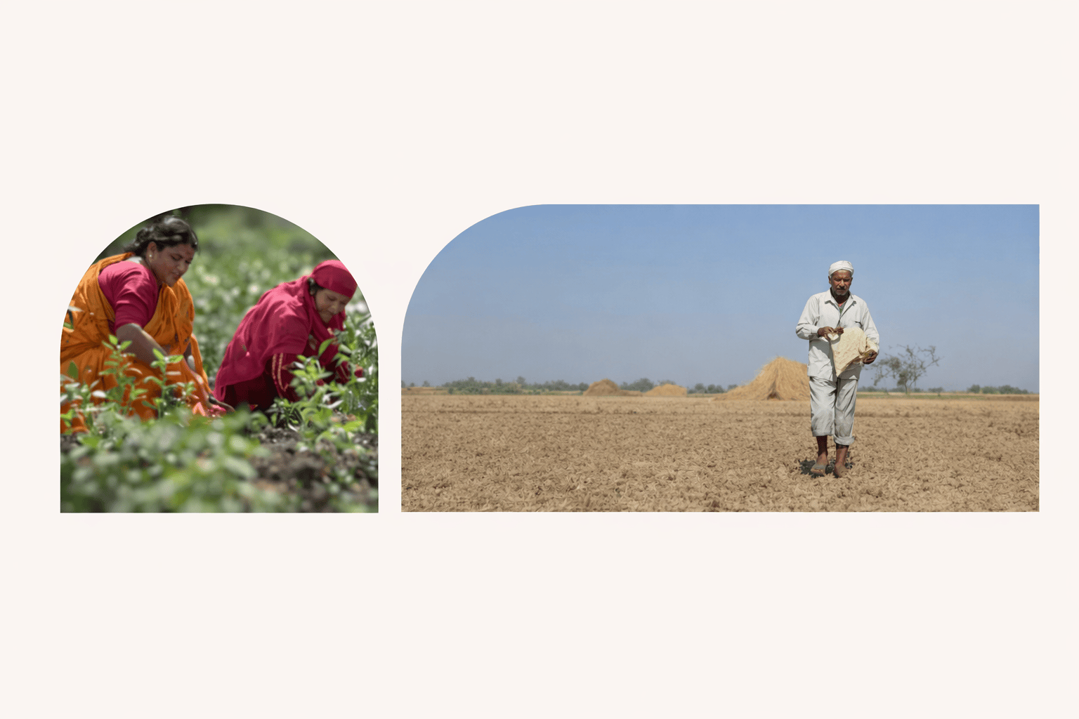 Service Section Image 1